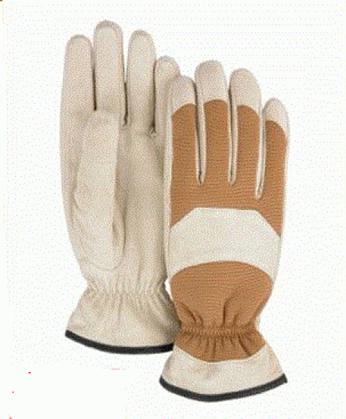 Handschuh " Winter Eagle"